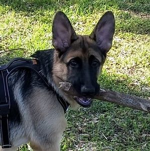 Meet your Posher, Kelly